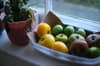 Fruit